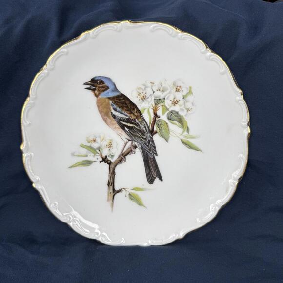 SCHUMANN‎ Arzberg Bavaria Blue Bird Plates Gold Rimmed 8” Vintage - Picture 2 of 3